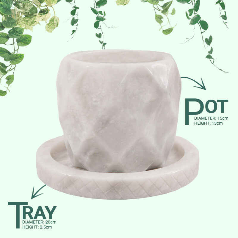 Planter 6 in White 